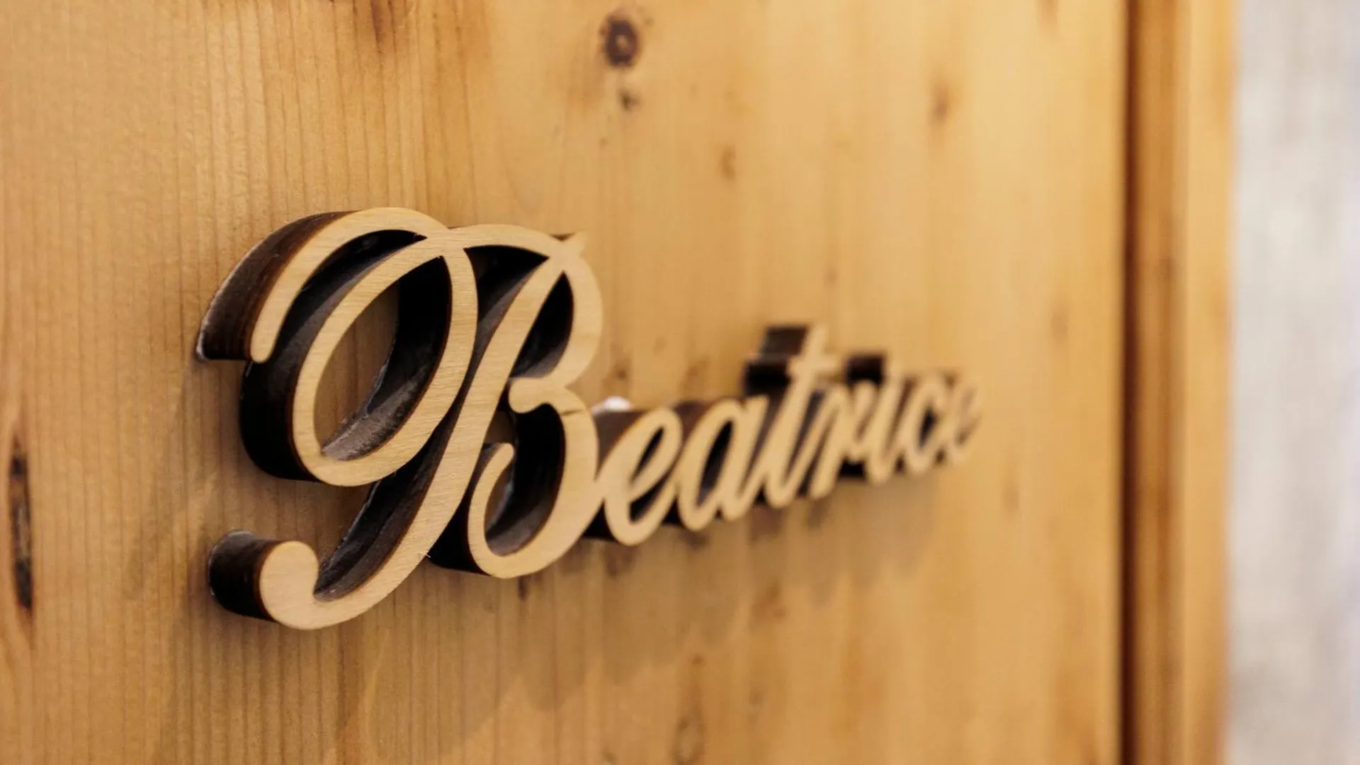 Beatrice Comfort Apartment Florence Italy