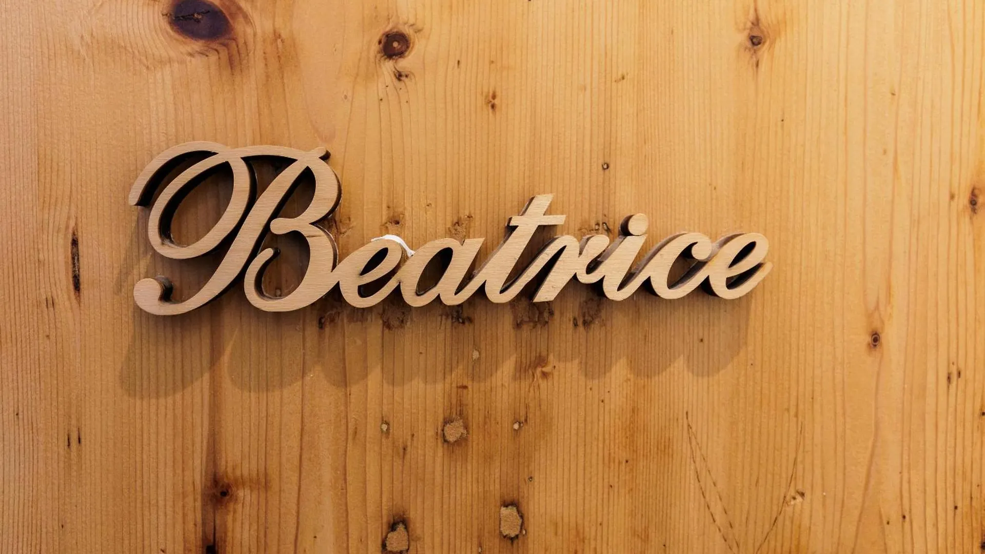 Beatrice Comfort Apartment Florence Italy